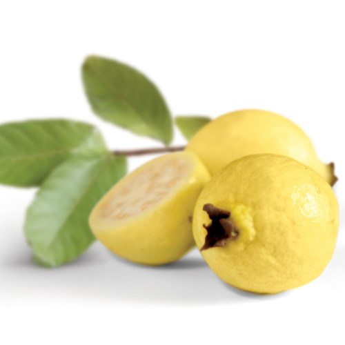 Yellow Lemon Guava