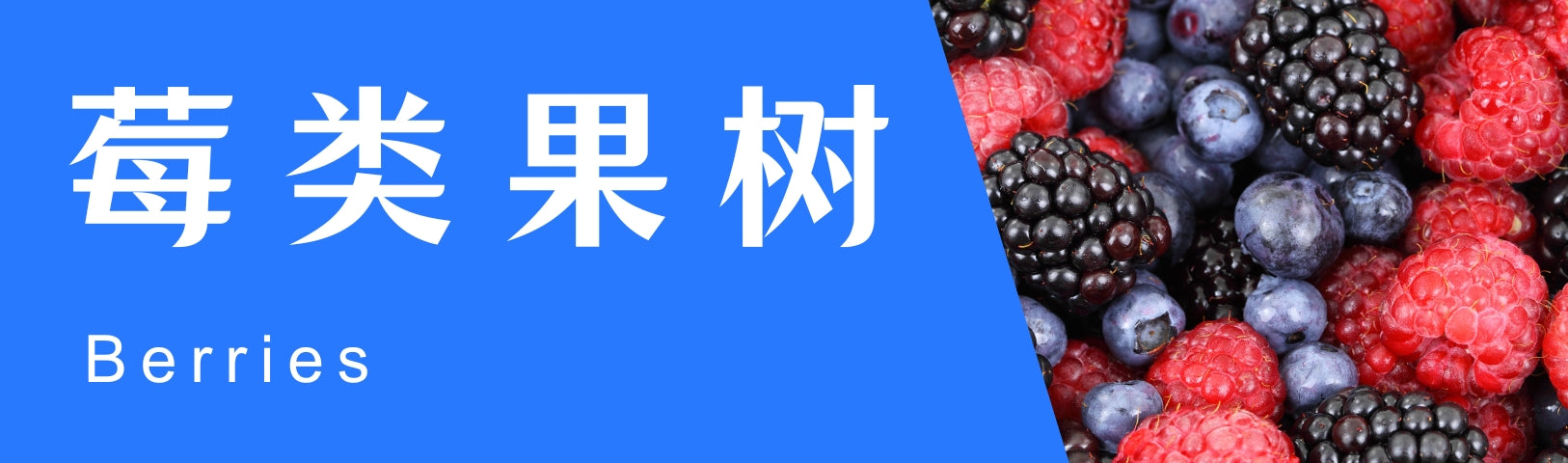 篮子华人百货