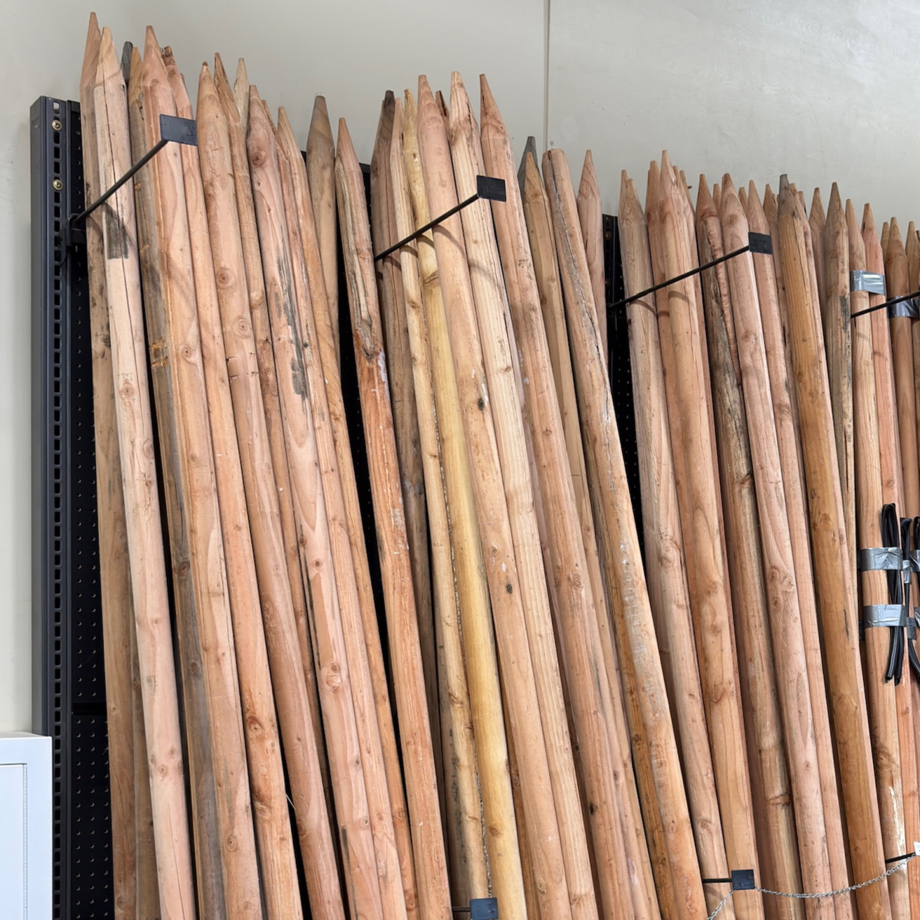Planting pole-wood
