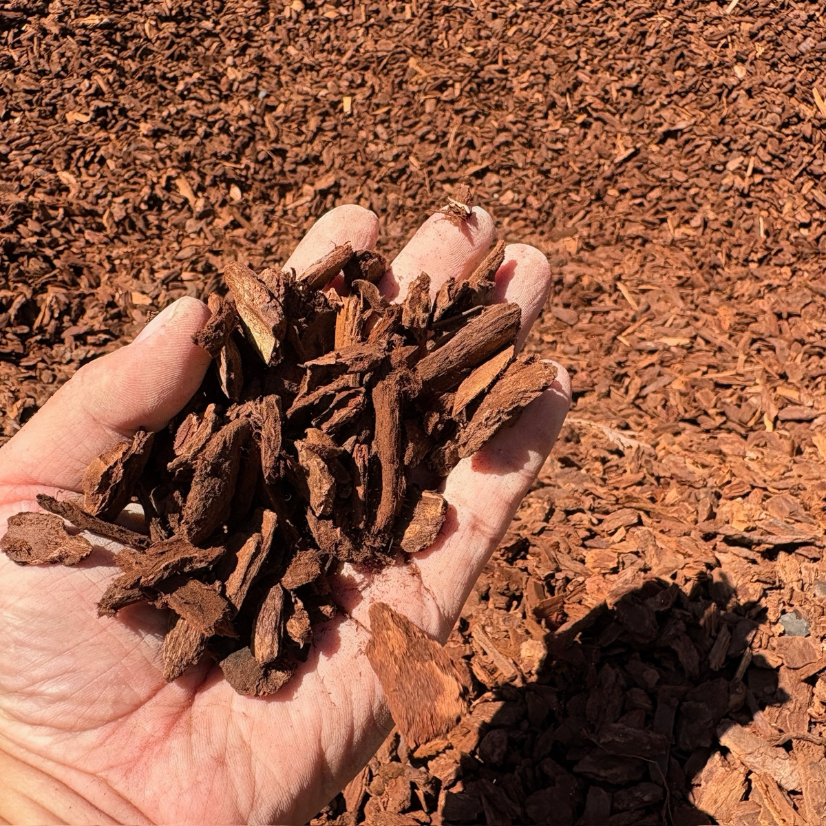 Wood Mulch - Brown