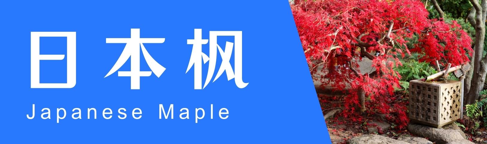 篮子华人百货