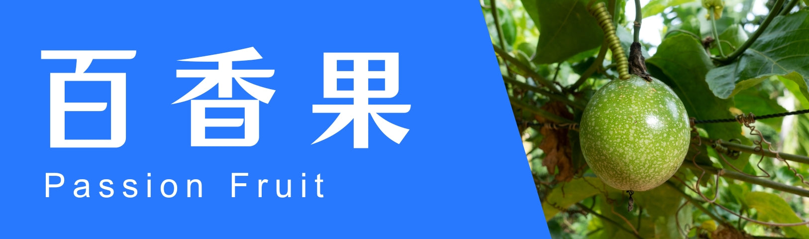篮子华人百货