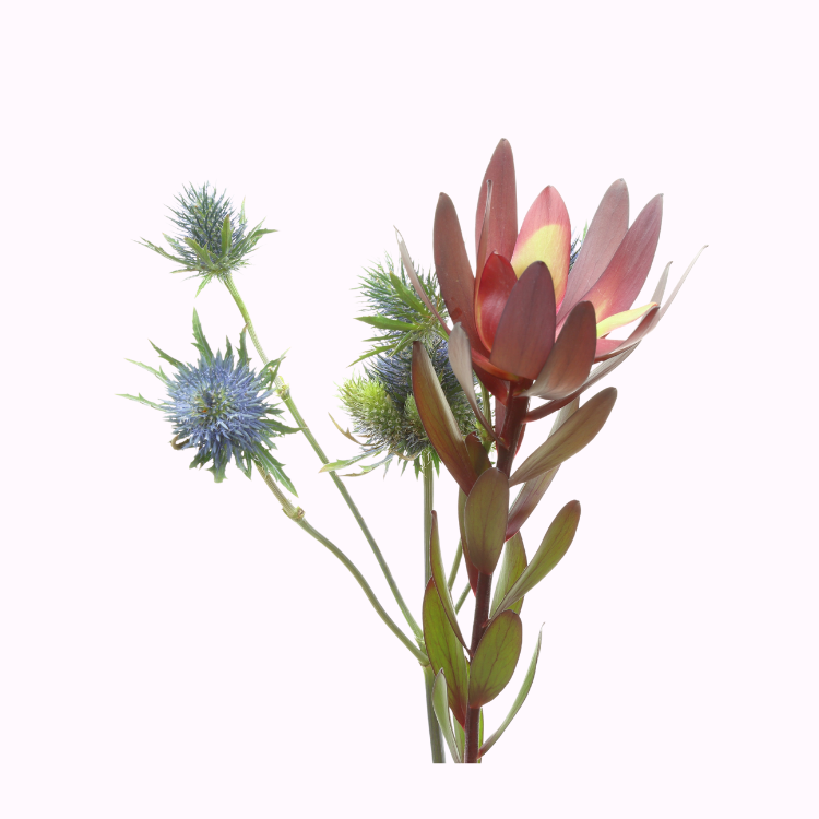 木百合