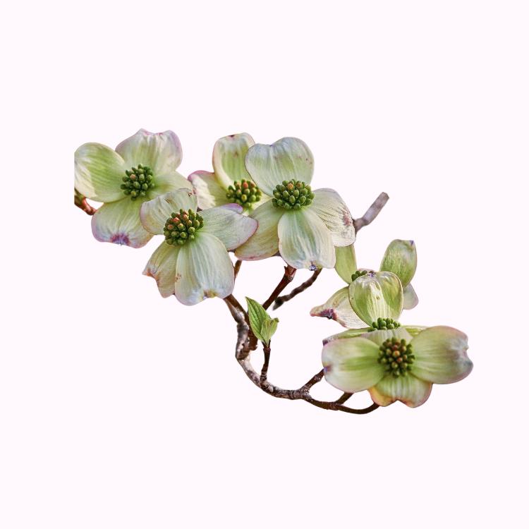 中国 算木花入　f2250224 呲铁CTZX45三相变频版220v输入工业级台式钻铣床钻铣床