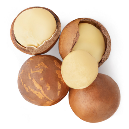 Macadamia Nuts