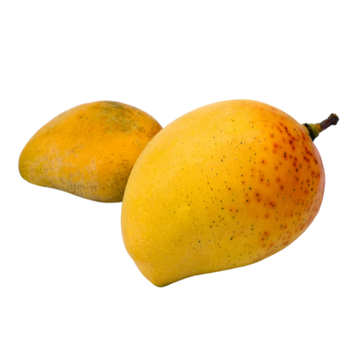 Alphonso Mango