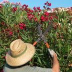 Garden Design Services