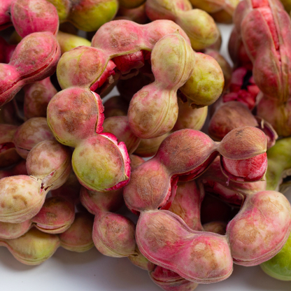 Rare fruit tree - Ox-hoofed bean