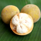 Santol