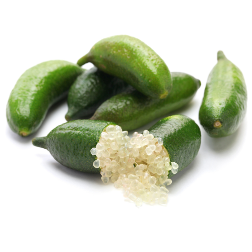 Australian Finger Lime