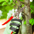 Garden Design Services