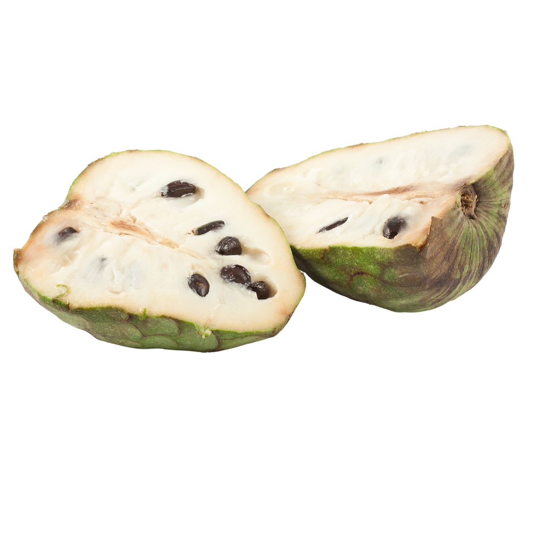 Sugar Apple Tree - Custard Apple