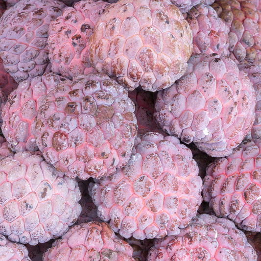 Sugar Apple Tree - Red Sugar Apple