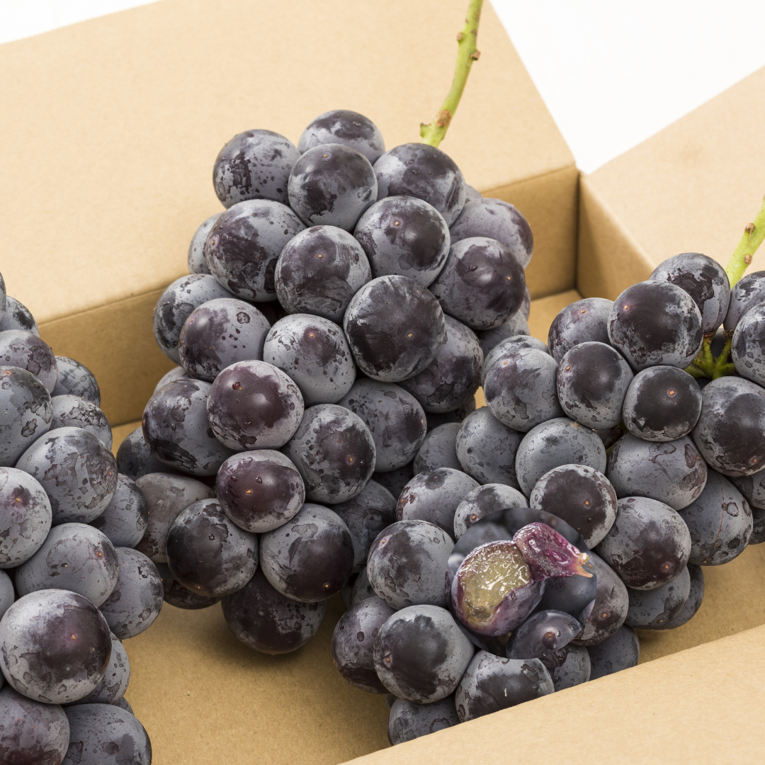 Kyho Grape