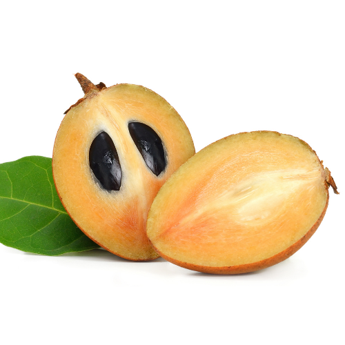 Sapota Tree - Sapodilla