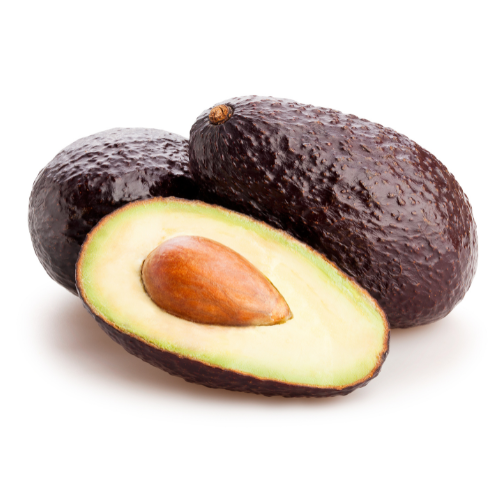 Avocado Tree - Hass