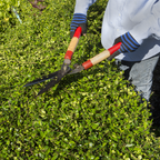 Garden Design Services
