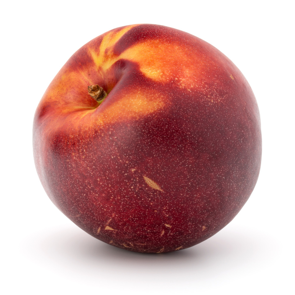 北极玫瑰油桃 Arctic Rose Nectarine