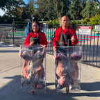 Fresh whole lamb prepared for on-site roasting catering in the Bay Area
