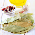 甜月桂 Bay Laurel