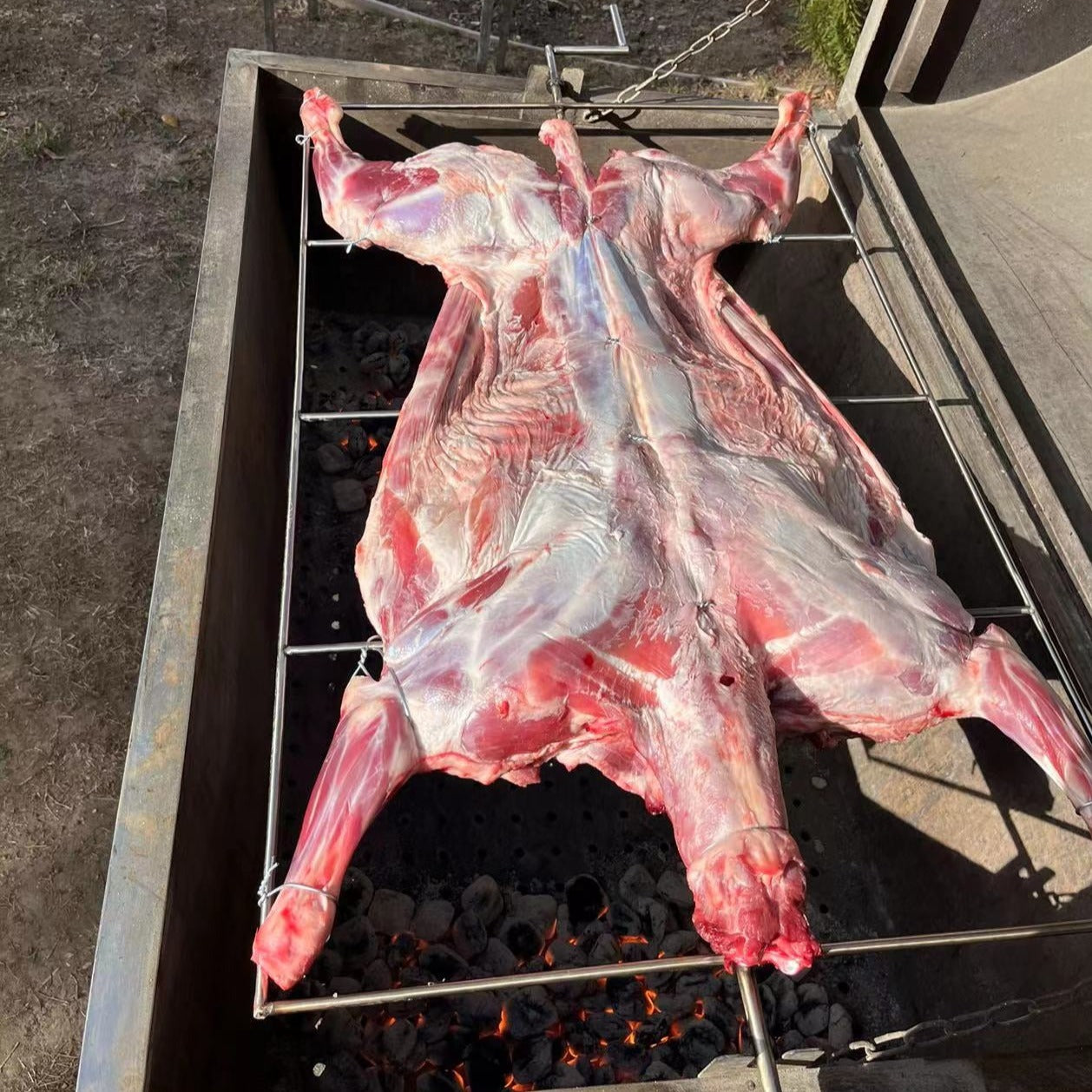 【Deposit】SF Dawei Roasted Whole Lamb🔥🐑Bay Area Door-to-Door BBQ🚛🍖