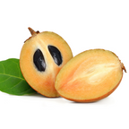 人心果 Chico Sapote