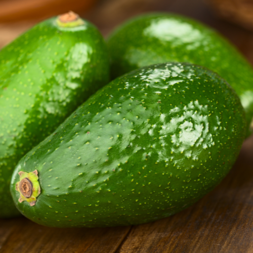 Fuerte Avocado