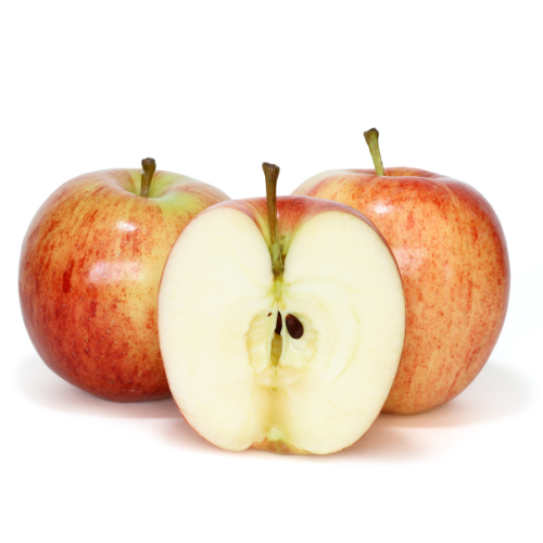 Gala Apple