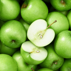 苹果树-澳洲青苹果