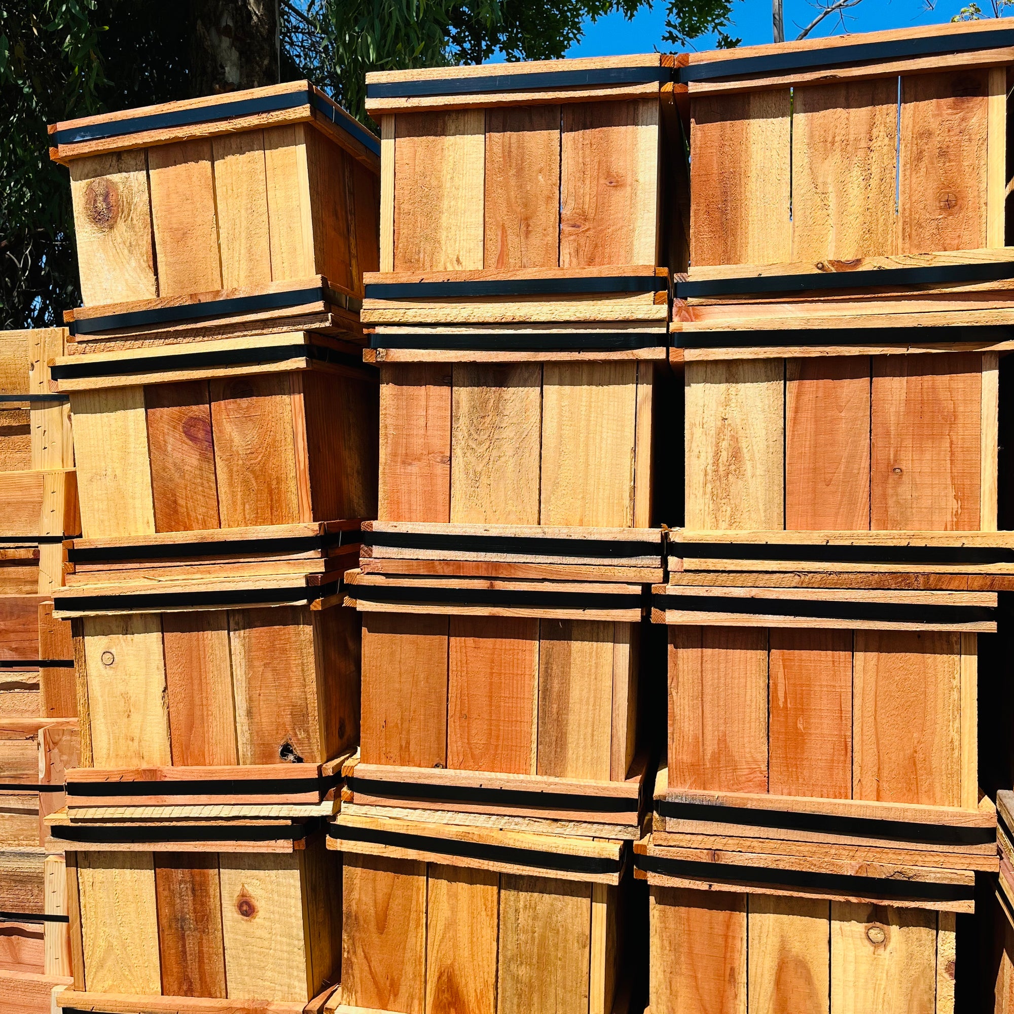 Planting pot-wooden rectangular planting box/flower box/vegetable bed
