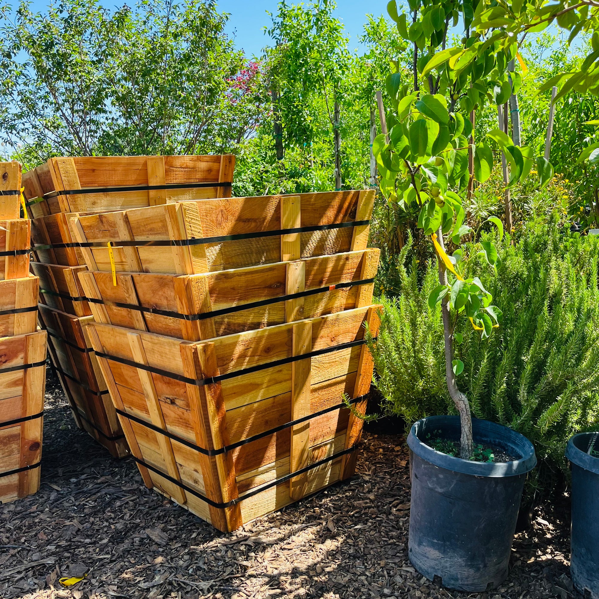 Planting pot-wooden square planting box/flower box/vegetable bed 