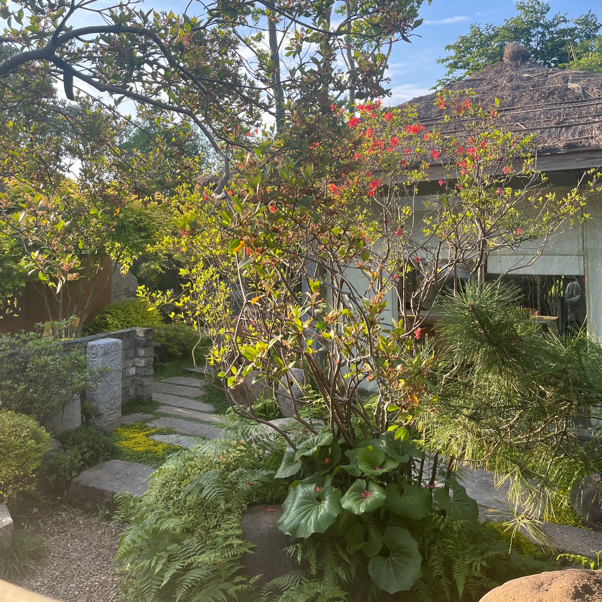 Garden Design Services