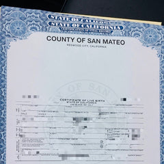出生纸海牙认证（州务卿认证）