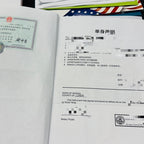 单身宣誓证明海牙认证（州务卿认证）