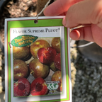 Flavor Supreme Pluot