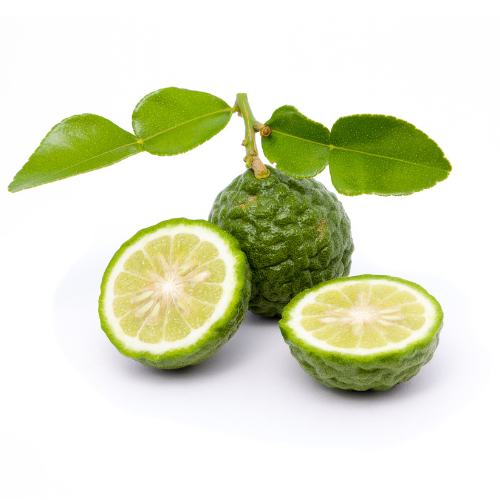 泰国青柠 Kaffir  Lime