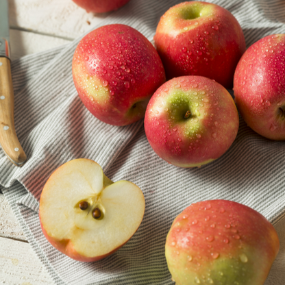 Apple Tree - Pink Lady Apple