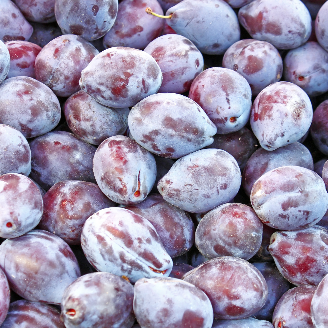 Mproved French Prune