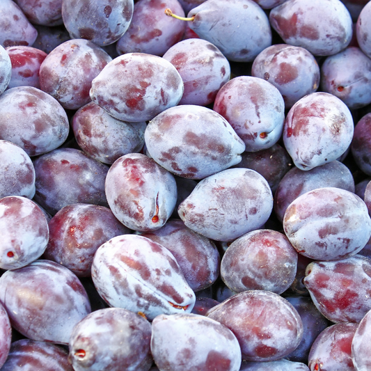 European plum-French plum