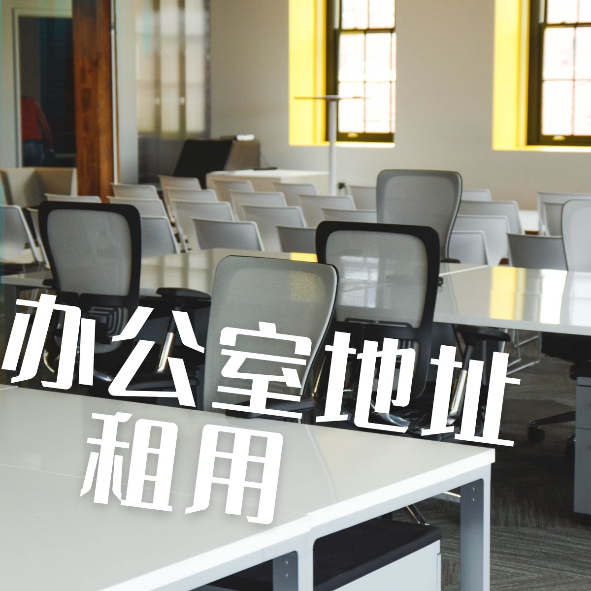 办公室地址租用·月租·🇺🇸加州