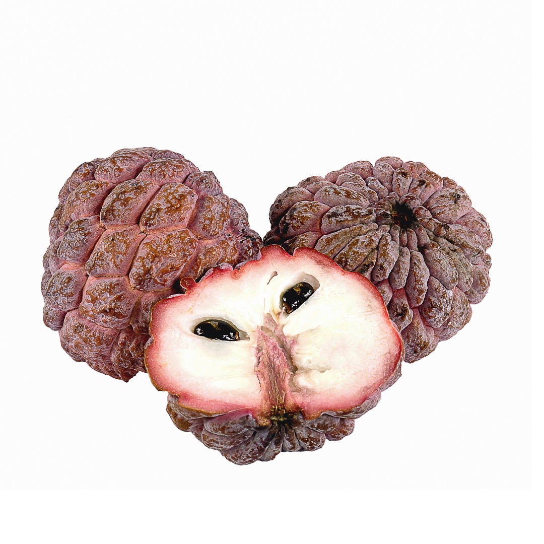 Sugar Apple Tree - Red Sugar Apple