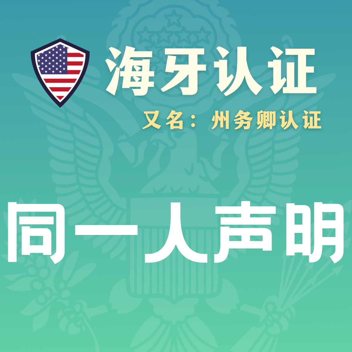 同一人声明海牙认证（州务卿认证）