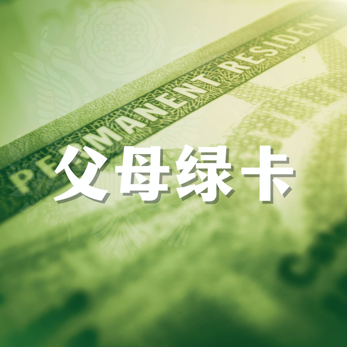 代办美国公民申请父母绿卡移民