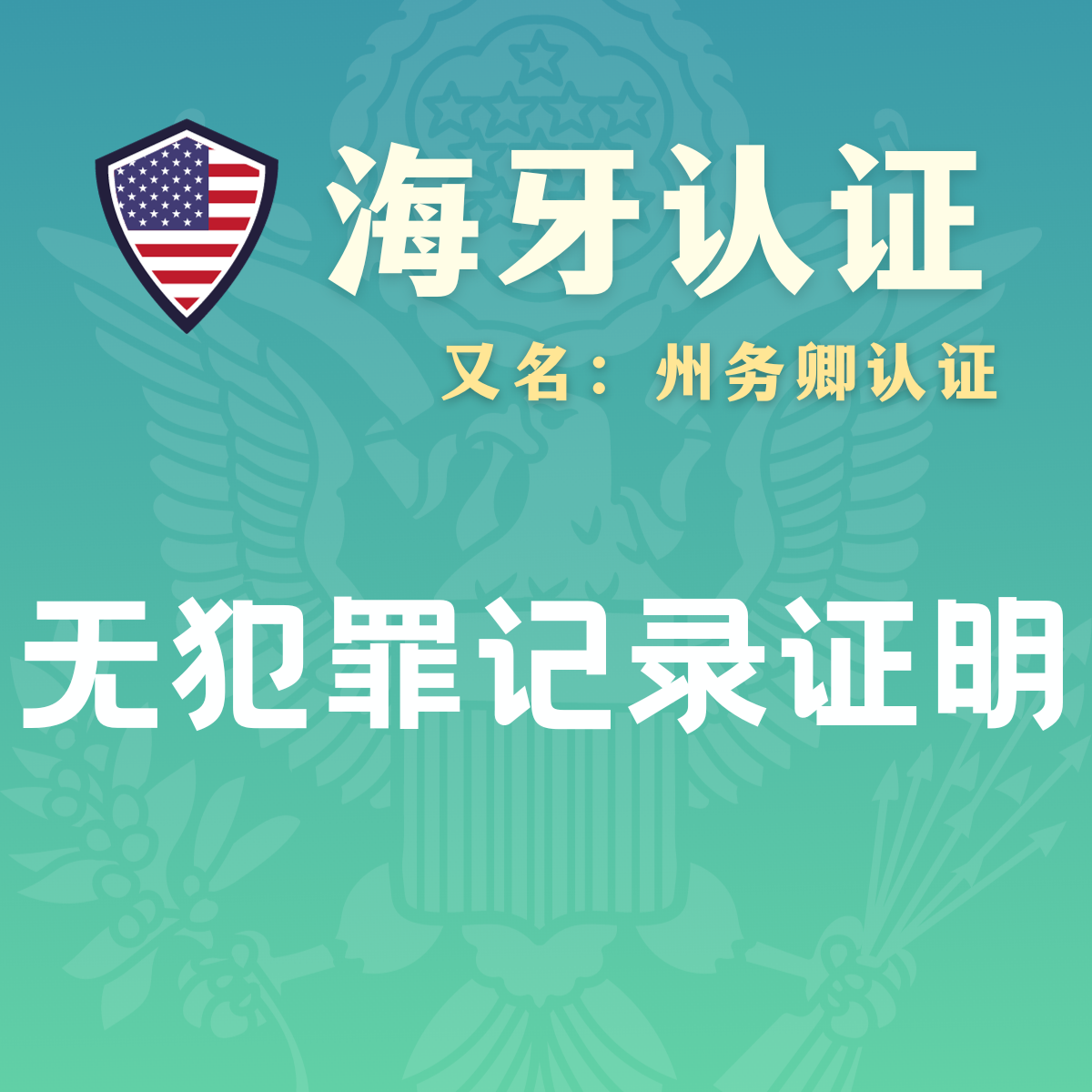 无犯罪记录证明海牙认证（州务卿认证）