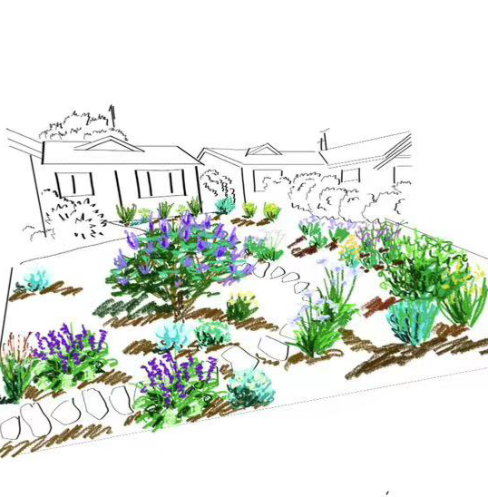 住宅前院植物设计与花园手绘效果图 Front yard garden and planting design sketch