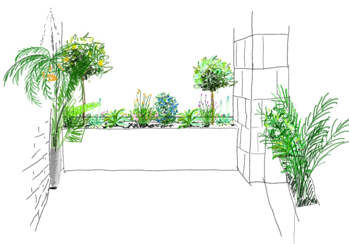 庭院花坛植物配置与景观设计草图 Garden bed planting design sketch with layered plant selections