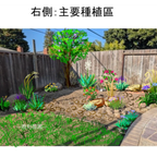 住宅庭院种植区域与植物布局设计示意图 Residential garden planting layout and plant placement design