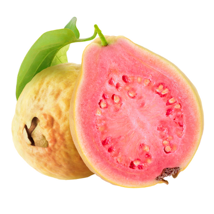 Guava Tree - Ruby Guava