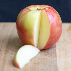 苹果树-蜂蜜脆苹果