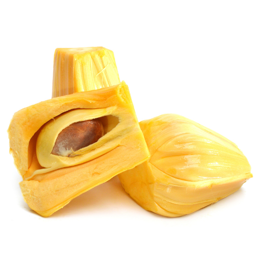菠萝蜜树
